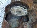Ступица задняя левая Audi A6 C5 (S6,RS6) 2002г. - фото №6