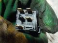 09134509 Кнопка кондиционера Opel Vectra B 1999г. - фото №2