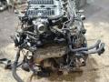 VQ25 Двигатель Nissan Elgrand 2 2010г. - фото №2
