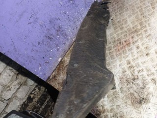 Дождевик, ориг. номер 9681741980, Citroen C3 Picasso 2008-2012