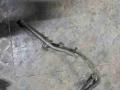 Трубка охлаждающей жидкости металлическая Nissan Almera Tino 2001г. - фото №2