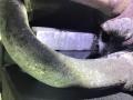 B4164S Двигатель Volvo V40 1997г. - фото №7