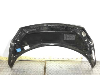 Шумоизоляция капота, ориг. номер 8200176951, Renault Scenic 2003-2006
