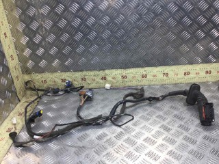 Проводка двери передней левой, Renault Scenic 2003-2006