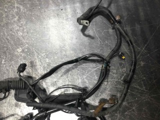 Проводка двигателя, ориг. номер A6461503456, Mercedes C-klasse 2004-2008