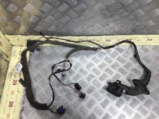 Проводка двери передней правой, ориг. номер 8200466104, Renault Scenic 2003-2006