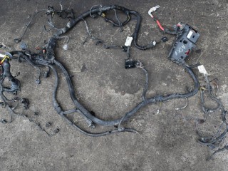 проводка двигателя, ориг. номер 31314844, 31288977, 31288977002, Volvo XC70 2 поколение 2007-2013