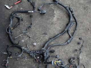 проводка двигателя, ориг. номер 31314844, 31288977, 31288977002, Volvo XC70 2 поколение 2007-2013