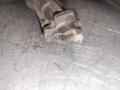 0221503014, 1208306 Катушка зажигания Opel Corsa C 2001г. - фото №4