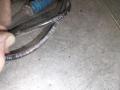 61126908705 Датчик ABS BMW 5 E60/E61 2007г. - фото №2