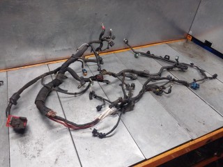 Проводка двигателя, ориг. номер 240119370R, Renault Captur 1 поколение 2012-2017