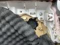 829001LD3A Обшивка двери Nissan Patrol 2010г. - фото №9
