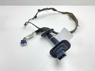 Проводка двери, ориг. номер 8200217368, Renault Megane 2002-2006