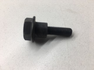 Болт успокоителя цепи ГРМ, ориг. номер 808208510, Subaru B9 Tribeca