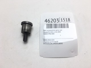 Болт успокоителя цепи ГРМ, ориг. номер 90003-PNA-000, Honda Fit 2001-2004