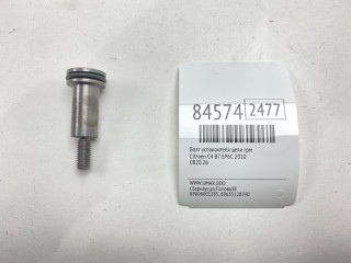 Болт успокоителя цепи ГРМ, ориг. номер 082026, Citroen C4 2004-2014