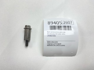 Болт успокоителя цепи ГРМ, ориг. номер 2438825001, Kia Sorento 2012-2021