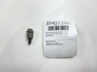 Болт успокоителя цепи ГРМ, ориг. номер 2434825001, Kia Sorento 2012-2021