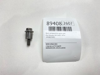 Болт успокоителя цепи ГРМ, ориг. номер 2434825001, Kia Sorento 2012-2021