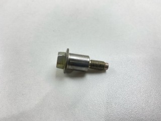 Болт успокоителя цепи ГРМ, ориг. номер 9YA110804A, Mazda Demio 1999-2003