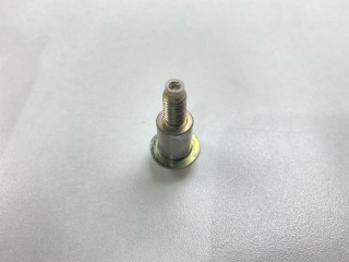 Болт успокоителя цепи ГРМ, ориг. номер 9YA110804A, Mazda Demio 1999-2003