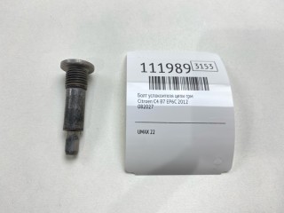 Болт успокоителя цепи ГРМ, ориг. номер 082027, Citroen C4 2004-2014