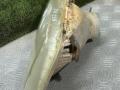 фара правая Ford Transit 4 поколение [рестайлинг] 1992г. - фото №5